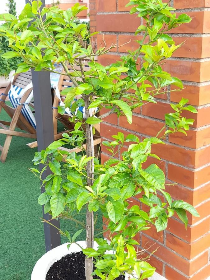 Apartament Atico Isaac Albeniz La Pineda Zewnętrze zdjęcie